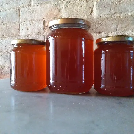 Farmház Tenuta Stella San Luca